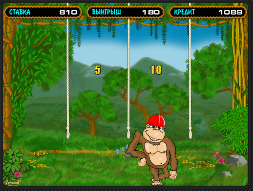 funky monkey crazy