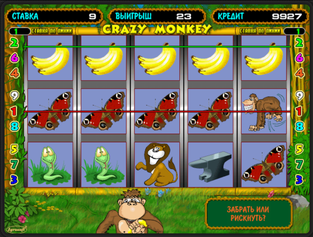 crazy monkey games